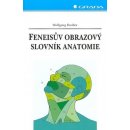 Feneisův obrazový slovník anatomie