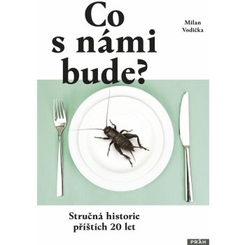 Co s námi bude?. Stručná historie příštích 20 let - Milan Vodička