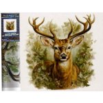 Norimpex Diamantové malování Jelen 30 x 40 cm – Sleviste.cz