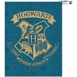 HALANTEX Fleece deka Harry Potter blue 130x170