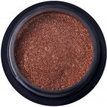 BORN PRETTY Metallic 12 pigment na nehty – Hledejceny.cz