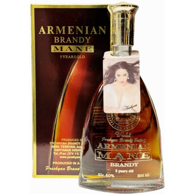 Proshyan Mane 5y 40% 0,5 l (karton) – Zboží Dáma