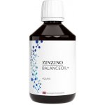 Zinzino BalanceOil AquaX Omega 3 pro děti 300 ml – Hledejceny.cz