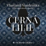 Černá lilie - Vlastimil Vondruška – Hledejceny.cz