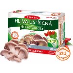 Terezia Company Hlíva ústřičná + laktobacily + vitamin C 60 kapslí – Hledejceny.cz