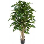 Ficus Benjamina Exotica Tree (11x120cm)-umělá -ý – Sleviste.cz