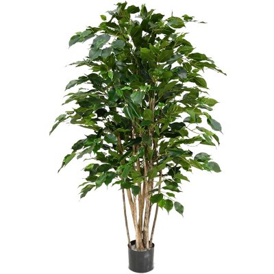 Ficus Benjamina Exotica Tree (11x120cm)-umělá -ý – Sleviste.cz