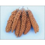 Avicentra Proso senegalské klasy 100 g – HobbyKompas.cz