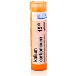 KALIUM CARBONICUM POR 15CH GRA 1X4G – Hledejceny.cz