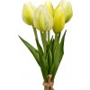 Květina Lepaso Kytice 5 tulipánů bílá 21,5 cm (136148 001 BU04057 tulipán bílý buket)