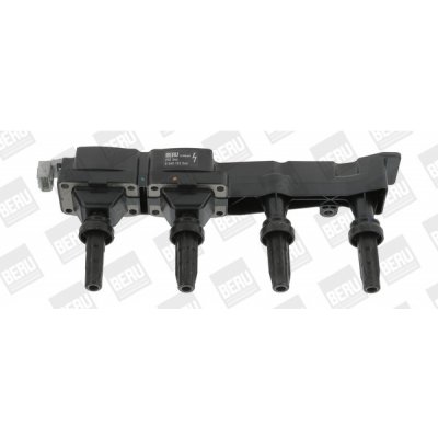 Zapalovací cívka BorgWarner (BERU) ZSE046 – Hledejceny.cz