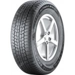 General Tire Altimax Winter 3 205/55 R16 91H – Hledejceny.cz