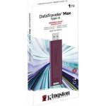 Kingston DataTraveler Max 1TB DTMAXA/1TB – Zboží Živě