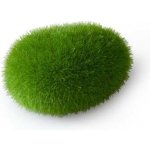 Europet Bernina Aqua Della Moss Ball 6x4,5x3,5 cm small – Sleviste.cz