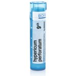 HYPERICUM PERFORATUM POR 9CH GRA 1X4G – Hledejceny.cz