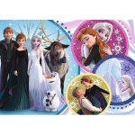 Trefl s třpytkami Frozen II 14817 100 dílků – Hledejceny.cz