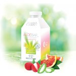 Eurona by Cerny Aloe vera nápoj ACTIVE ANTIOXIDANT 500 ml – Hledejceny.cz