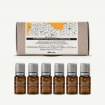 Davines Naturaltech Nourishing Hair Royal Jelly Superactive vitamínový komplex 6 x 8 ml – Hledejceny.cz