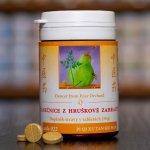 TCM Herbs Tanečnice z hruškové zahrady 100 tablet – Hledejceny.cz
