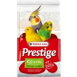 Versele-Laga mušlový písek Kristal 25 kg – Sleviste.cz