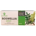Boswellia extrakt Kadidlovník pilovitý 40 tablet – Hledejceny.cz