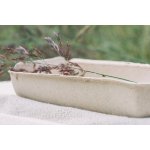 Mulieres Koncentrovaný univerzální čistič 1 l bez vůně – HobbyKompas.cz