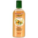 Ayuuri Shampoo jemně čisticí Amla Aritha 200 ml