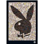Plakát Playboy - Mosaic – Hledejceny.cz