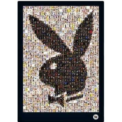 Plakát Playboy - Mosaic – Hledejceny.cz