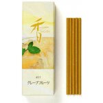 Nippon Japonské vonné tyčinky Shoyeido Xiang Do Grapefruit 20 ks – Hledejceny.cz