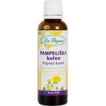 Dr. Popov Pampeliška kořen originální bylinné kapky 50 ml – Hledejceny.cz