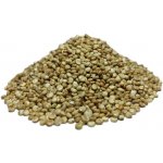 Profikoření Quinoa bílá 0,5 kg – Zboží Dáma