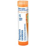 SANGUINARIA CANADENSIS POR 15CH GRA 4G – Hledejceny.cz