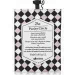 Davines TCC The Purity Circle maska na vlasy 50 ml – Hledejceny.cz