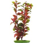 Hagen rostlina Red Ludwigia 20 cm – Hledejceny.cz