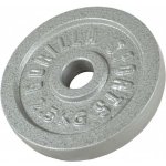 Gorilla Sports litina 2 x 1 kg 30/31 mm – Hledejceny.cz