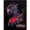 PBM Express Zarámovaný plakát Spider-Man - Miles Morales System Shock