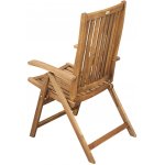 Fieldmann CALYPSO-T – Sleviste.cz