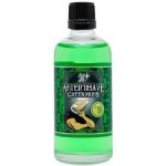 Hey Joe Green Moss voda po holení 100 ml – Zboží Dáma