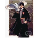 Malování podle čísel HARRY POTTER A HEDVIKA V BRADAVICÍCH – Zbozi.Blesk.cz