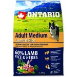 Ontario Adult Medium Lamb & Rice 2 x 2,25 kg – Hledejceny.cz