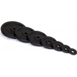 TRINFIT litina 30 mm 1,25 kg – Hledejceny.cz