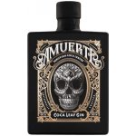 Amuerte Coca Leaf Gin 43% 0,7 l (holá láhev) – Zboží Dáma