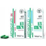 Vetapro Arthtroflex MAIN kloubní výživa pro psy 60 tablet – Hledejceny.cz