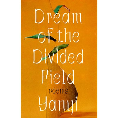 Dream of the Divided Field – Hledejceny.cz