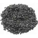 Biostan Biokron Slunečnice černá 5 kg – Zbozi.Blesk.cz