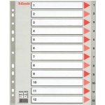 Plastový rozlišovač Esselte MAXI s označením 1-12 – Zboží Živě