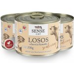 Falco Sense Cat losos a hovězí 200 g – Hledejceny.cz