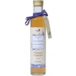 Hollunger Sirup levandulový Bio 0,5 l – Zboží Dáma