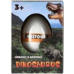 Teddies Vejce líhnoucí a rostoucí dinosaurus v krabičce 7,5x10,5x5 v 12 ks v boxu – Hledejceny.cz